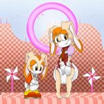 Deviantart Amy Rose Diaper Related Keywords & Suggestions - 